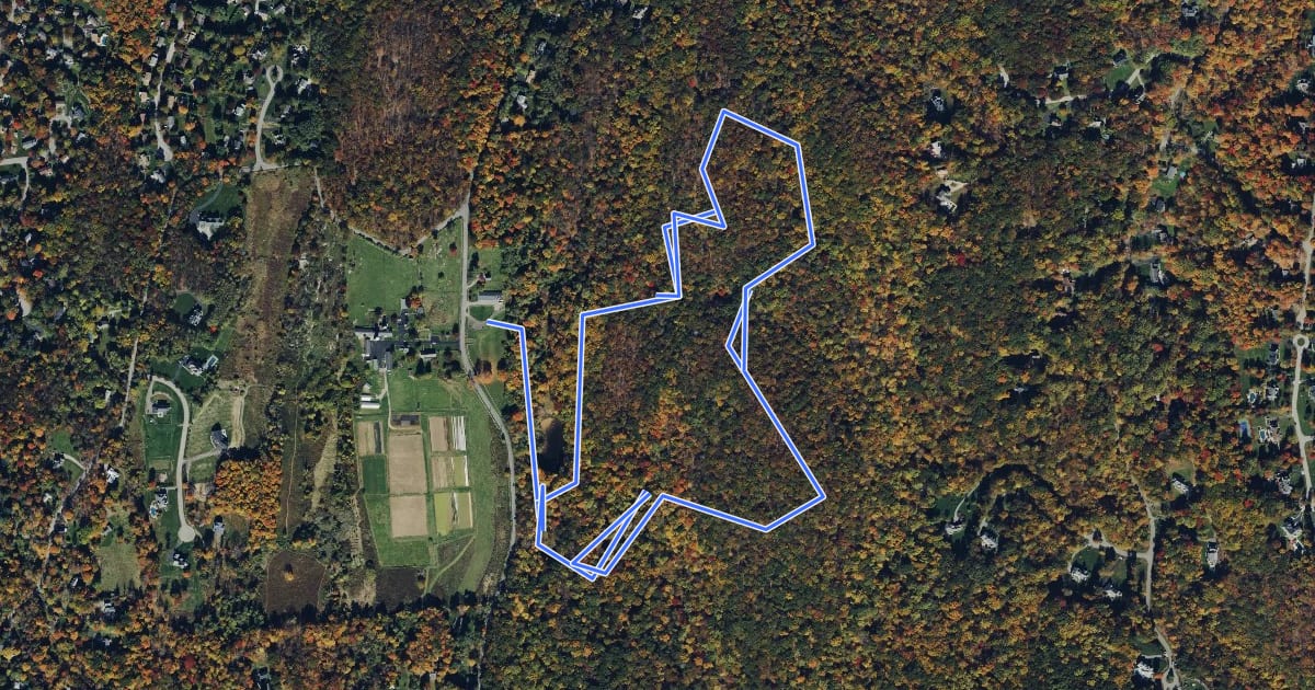 Маршрут Hilltop Loop на спутниковом снимке