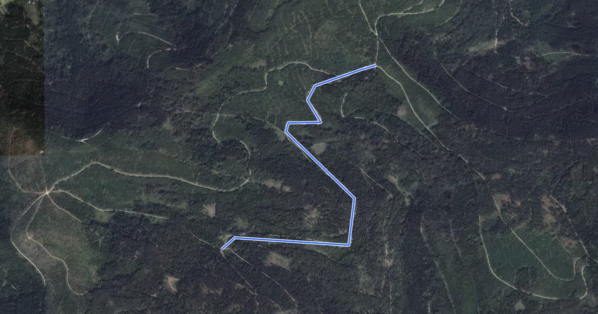 Маршрут Hilseckhütte - Ramsbacher Holzplatz на спутниковом снимке