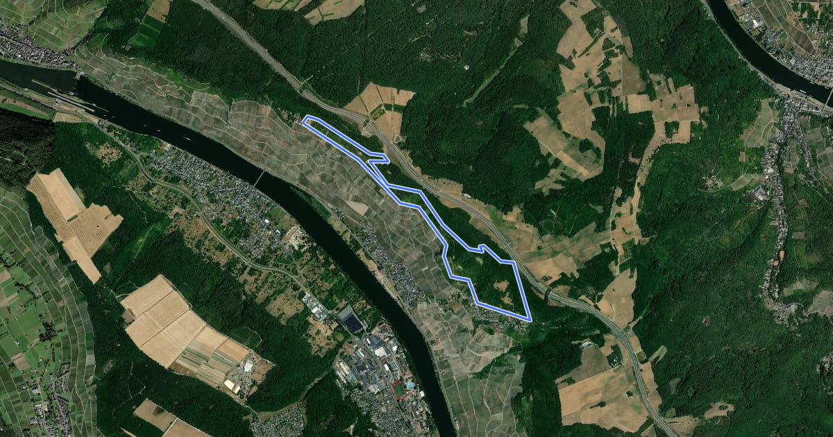 Маршрут Himmelreich Wanderweg на спутниковом снимке