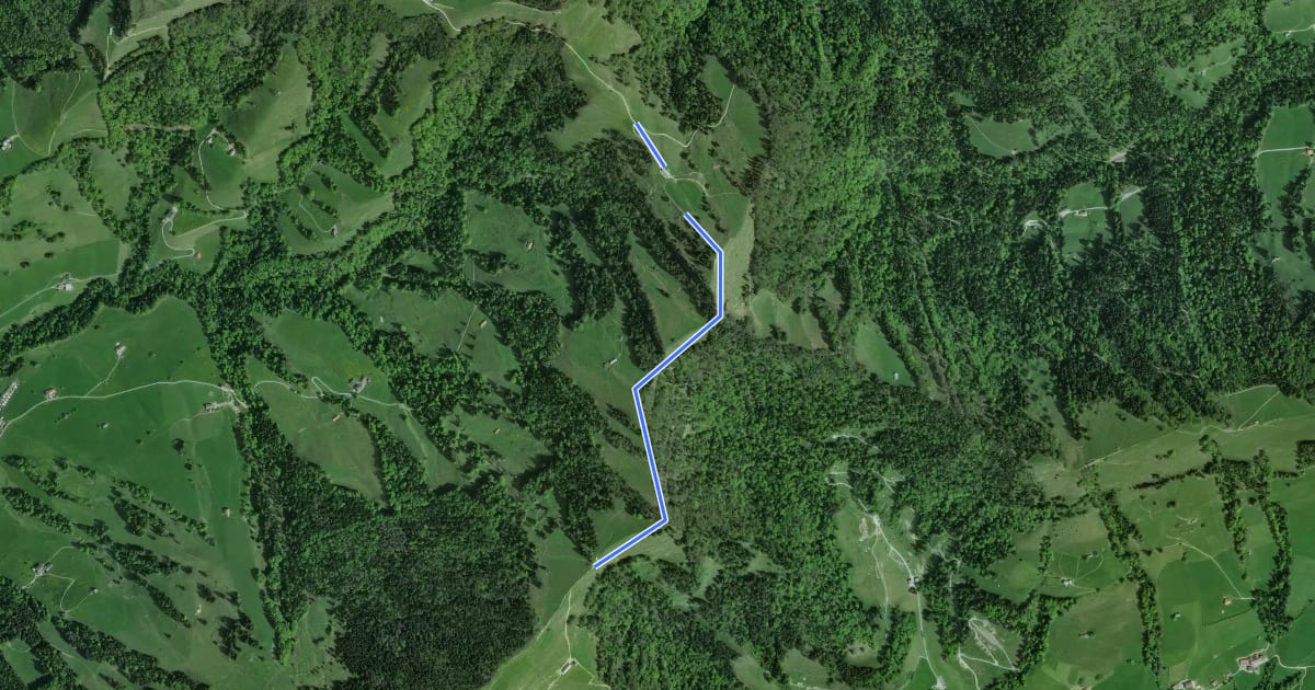 Маршрут Hint. Rotstein-Obere Tweralp alternativ während Schiesszeiten Schiessplatz Cholloch на спутниковом снимке