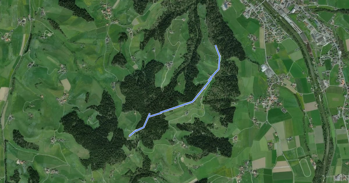 Маршрут Hinter Längholz - Ruine Wartenstein на спутниковом снимке