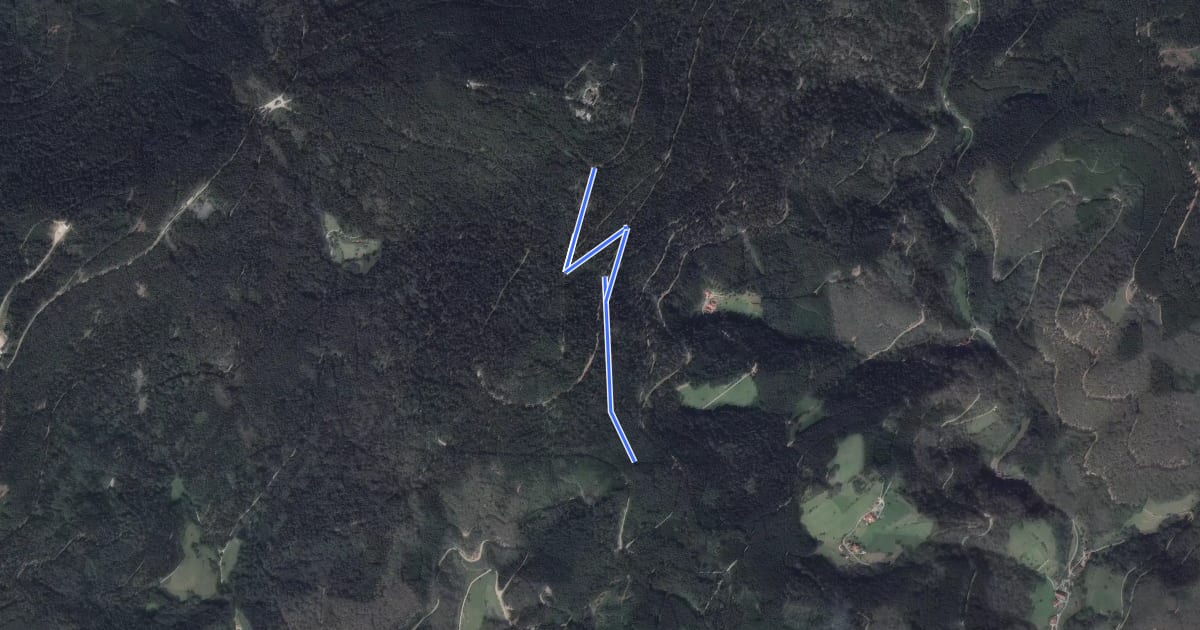 Маршрут Hinterer Berg - Oberer Brandenkopf Weg на спутниковом снимке
