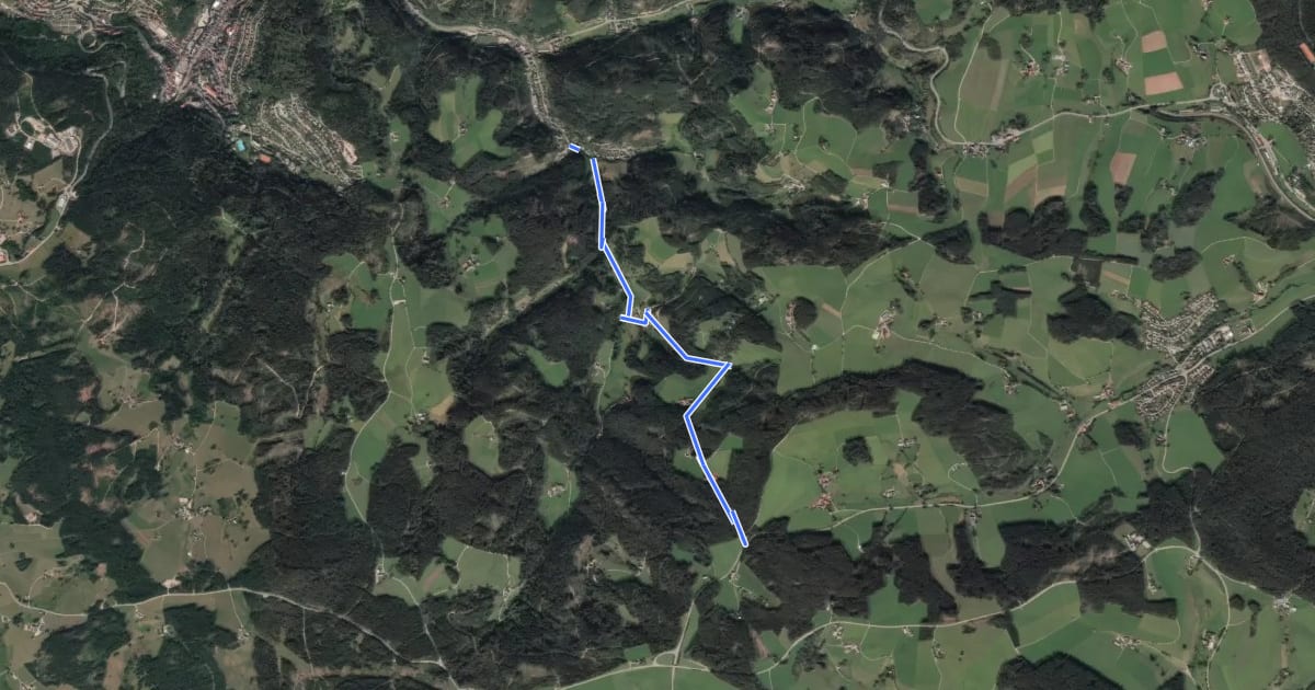 Маршрут Hintertal - Unterer Hirzwald на спутниковом снимке