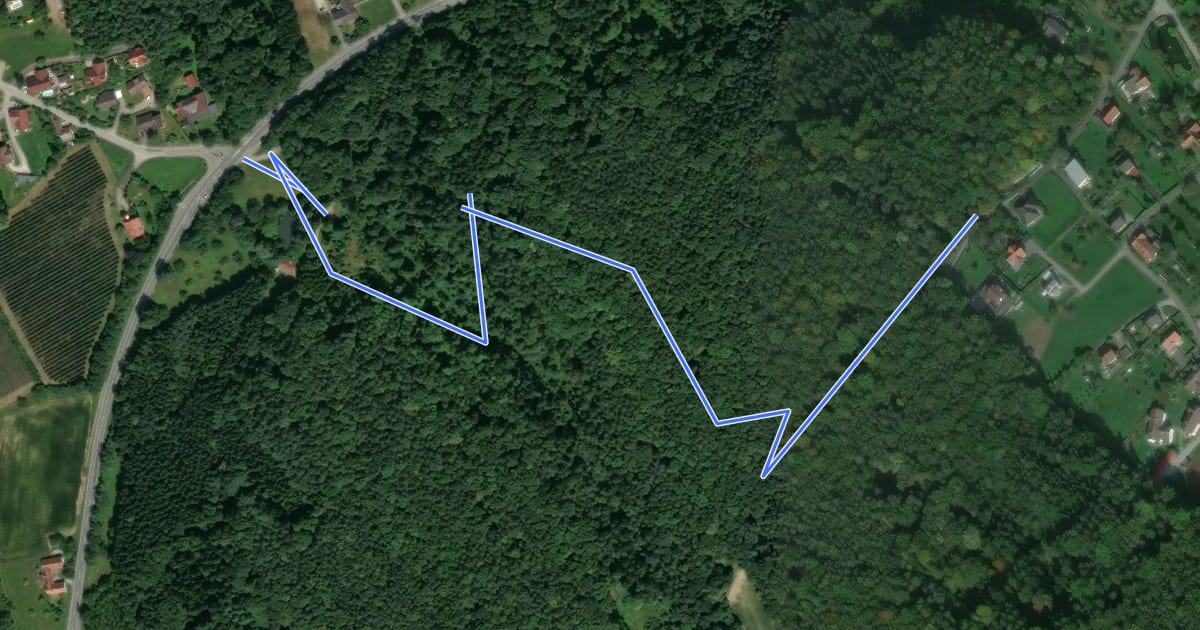 Маршрут Hirnsdorfrundweg 1 на спутниковом снимке