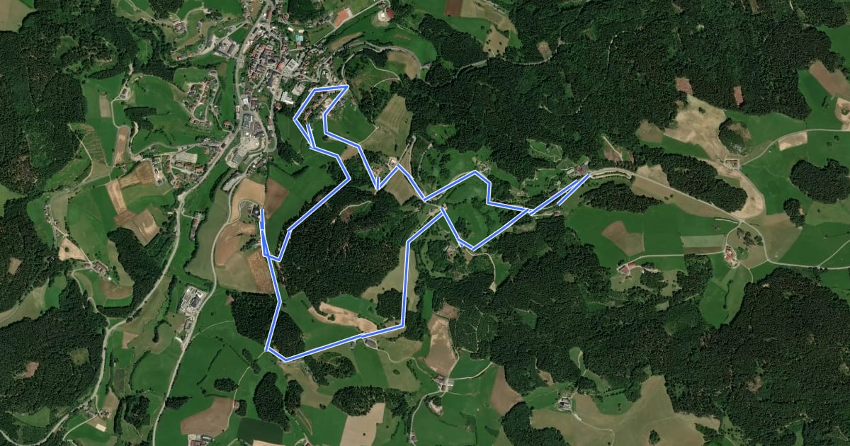 Маршрут Hirschalmweg Nr. 18 на спутниковом снимке