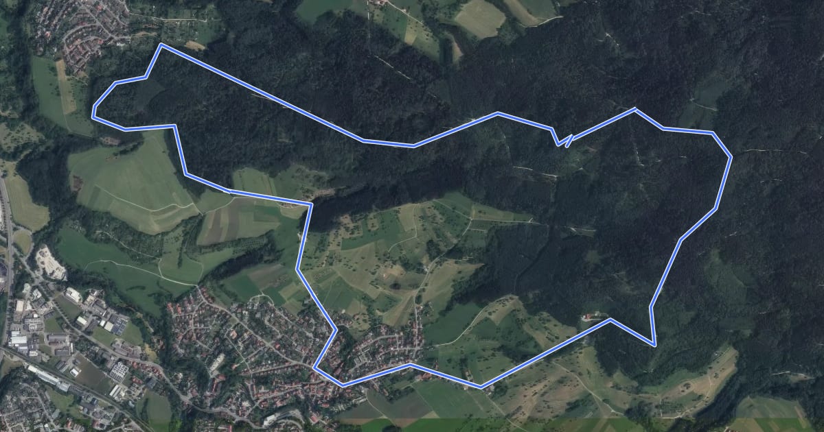 Маршрут Hirschberg Rundweg на спутниковом снимке