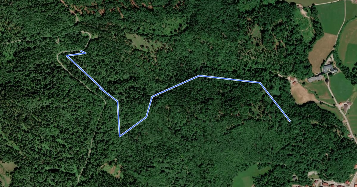 Маршрут Hirschbergtrail на спутниковом снимке