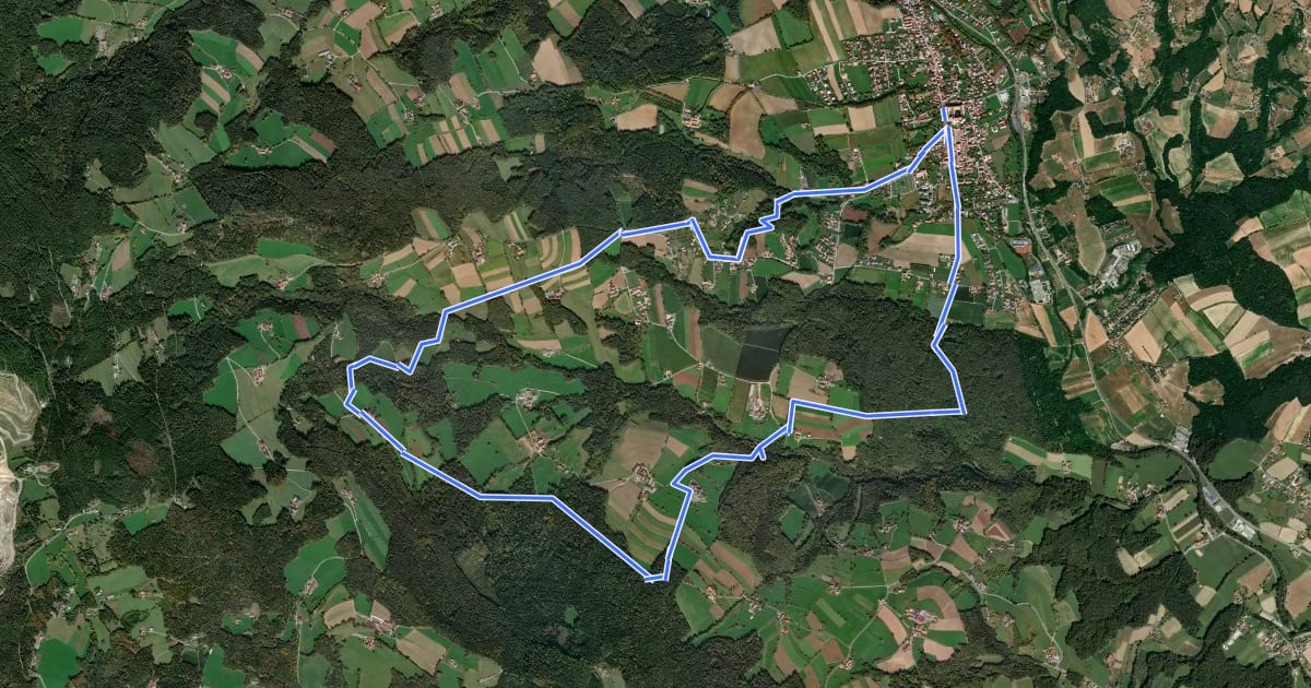 Маршрут Hirschbirnenweg Rabenwald на спутниковом снимке