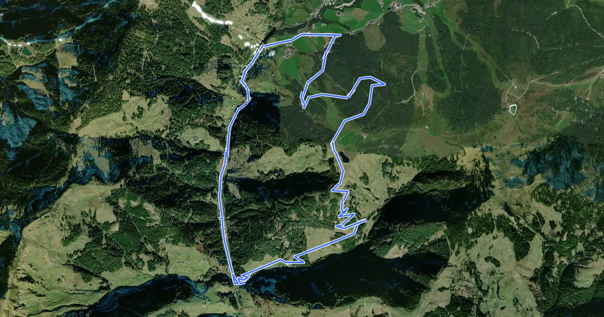 Маршрут Hirscheggalm Runde на спутниковом снимке