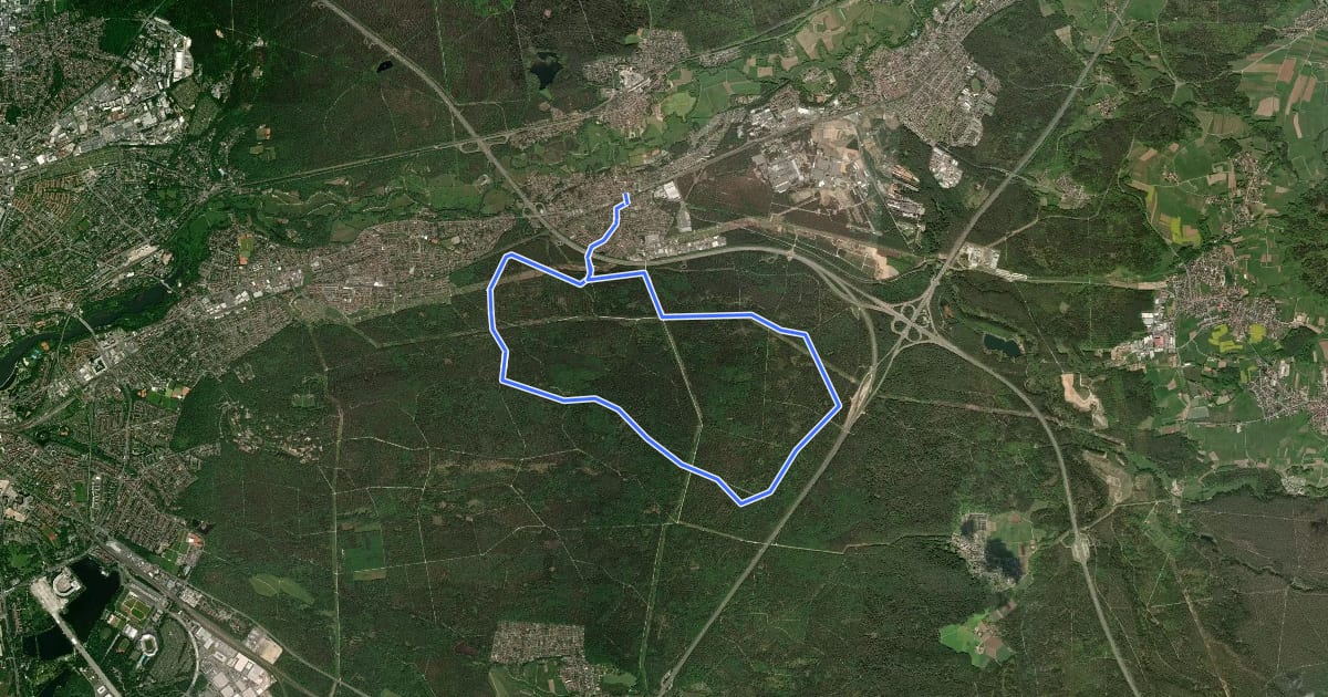 Маршрут Hirschenkopf Trail на спутниковом снимке