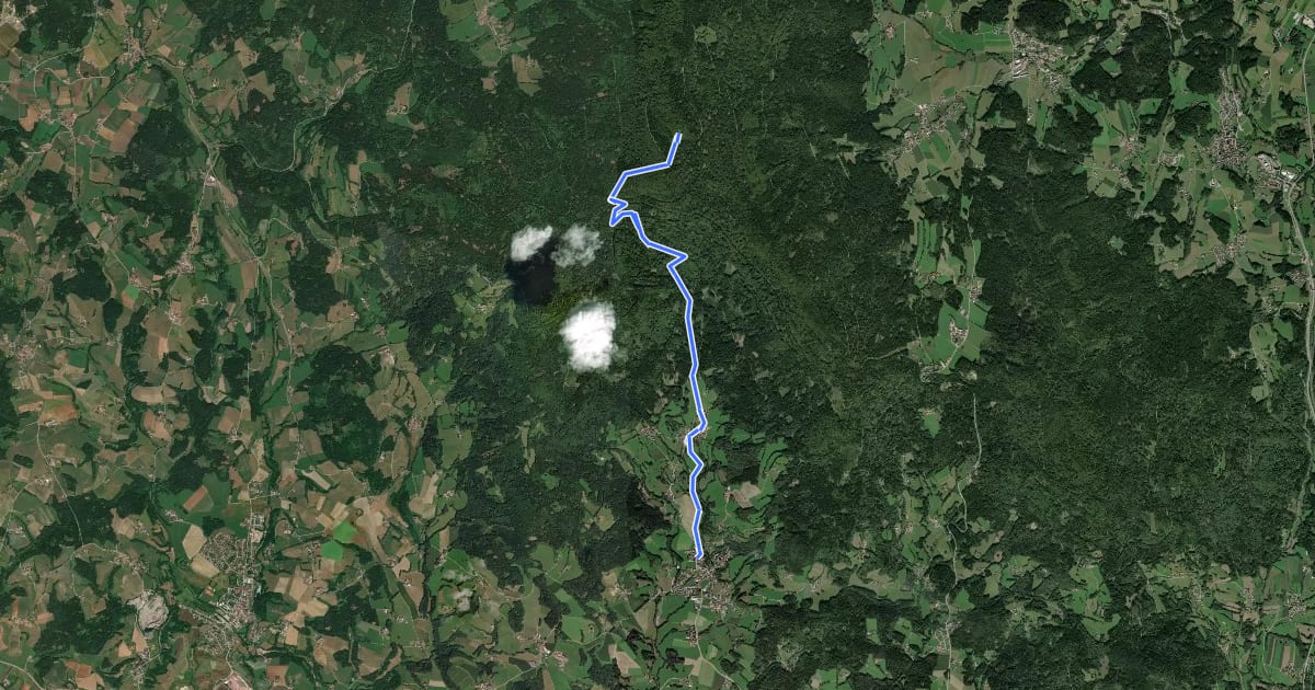 Маршрут Hirschensteinweg на спутниковом снимке