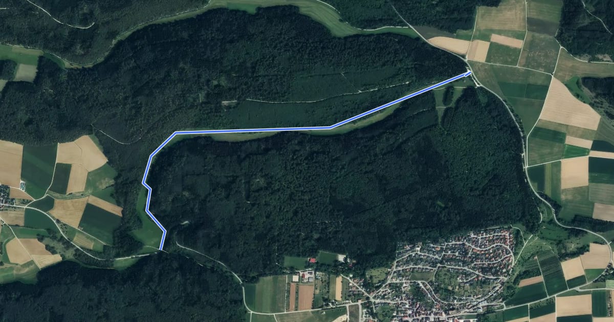 Маршрут Hirschental на спутниковом снимке