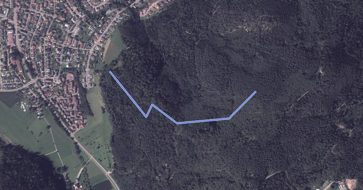 Маршрут Hirschfelsenweg - Haslach Rotkreuz на спутниковом снимке