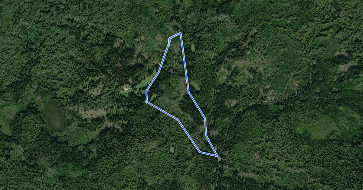 Маршрут Hirschgeweih на спутниковом снимке