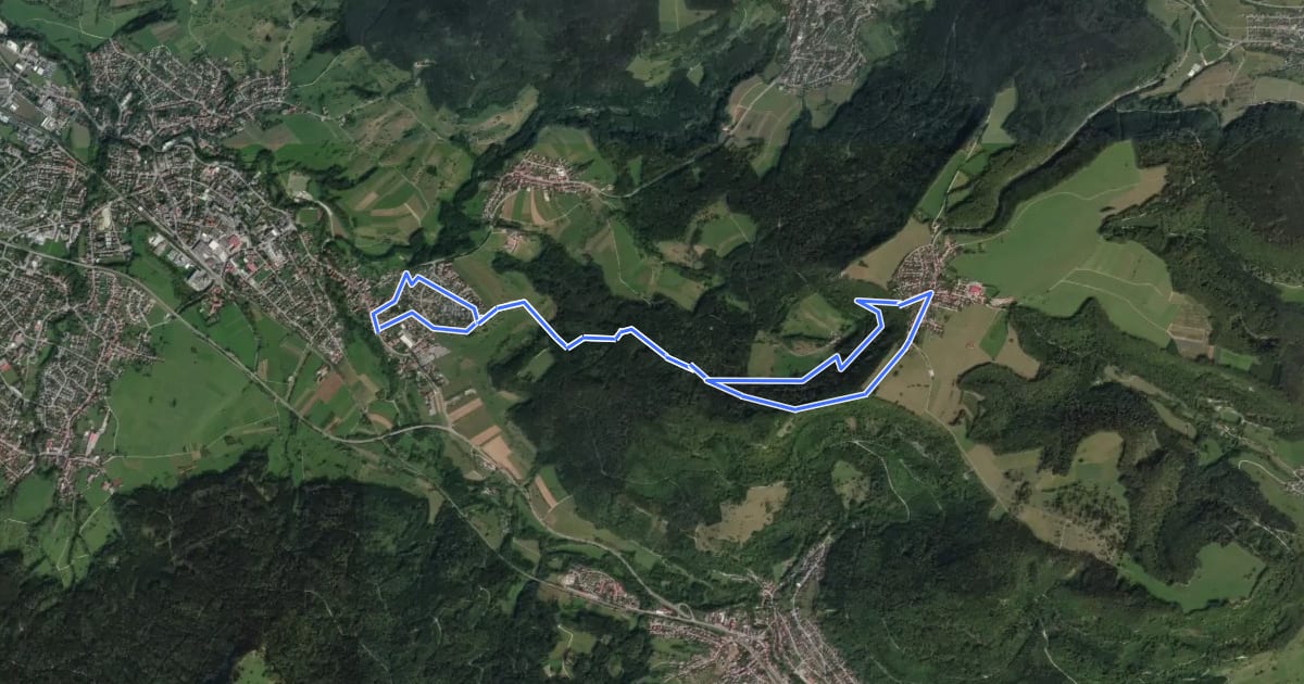 Маршрут Hirschguldenweg на спутниковом снимке