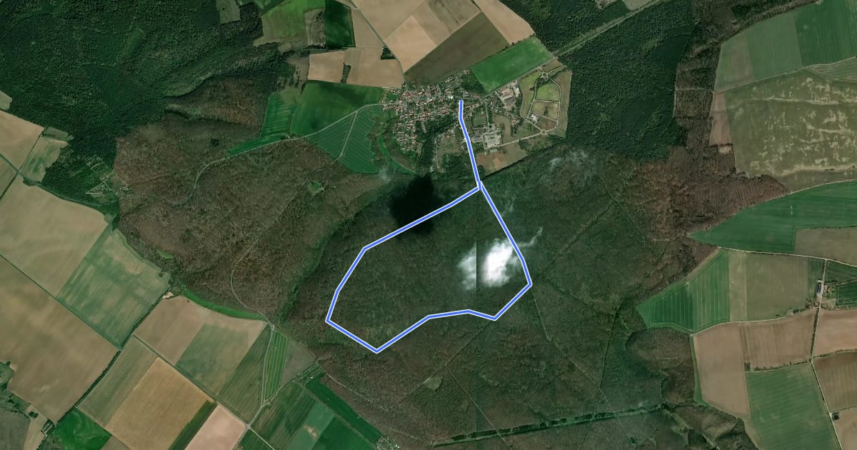 Маршрут Hirschkäferweg на спутниковом снимке