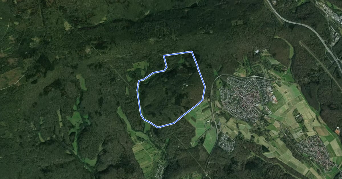 Маршрут Hirschweg на спутниковом снимке