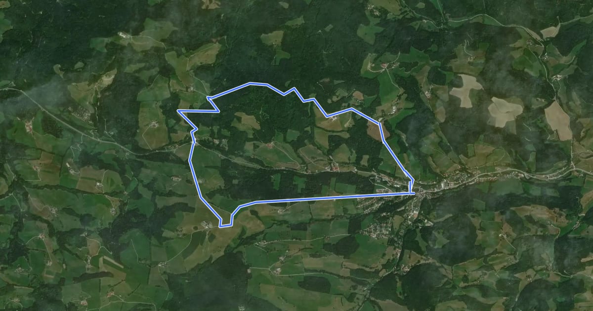 Маршрут Hirschweg (Kaumberg - Gerichtsberg - Bramerkapelle - Großreith) на спутниковом снимке