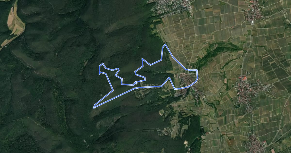 Маршрут Historischer Rundwanderweg на спутниковом снимке