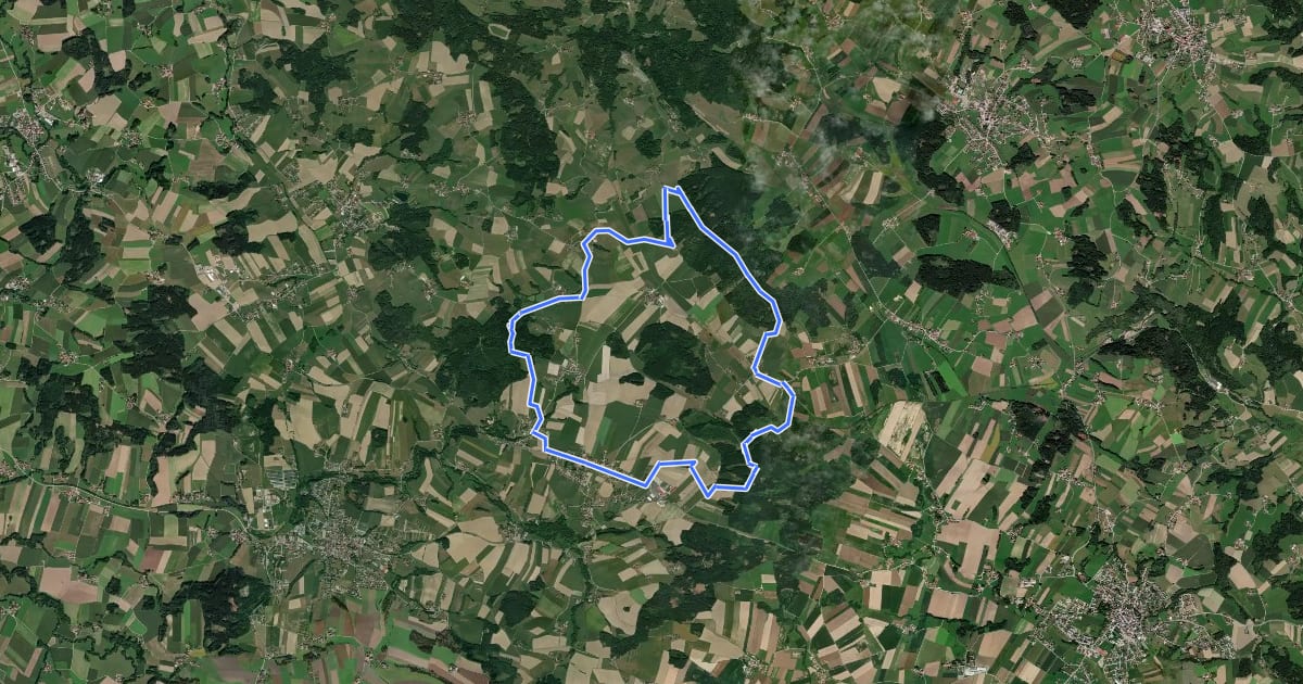 Маршрут Historischer Wanderweg на спутниковом снимке