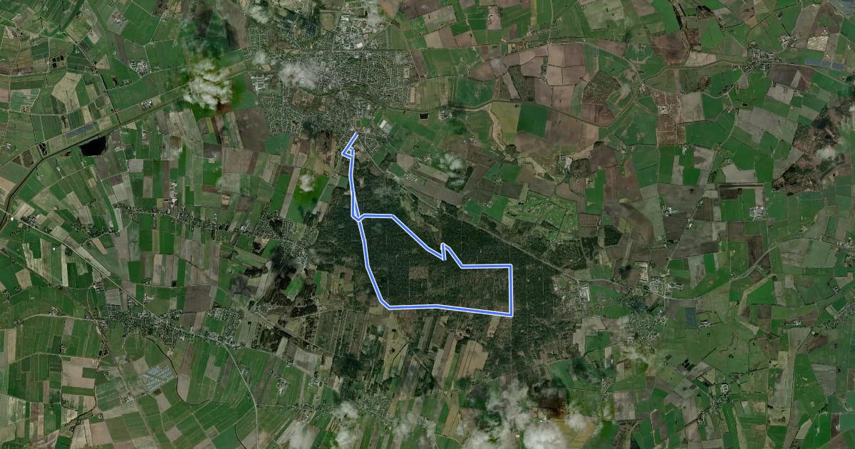 Маршрут Historischer Westlicher Ochsenweg und Langenberger Forst на спутниковом снимке