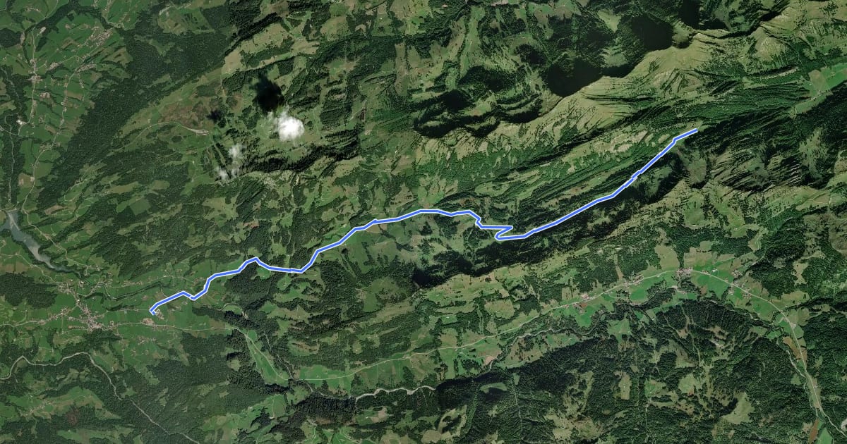 Маршрут Hittisau-Lecknertal-Alpe Scheidwang на спутниковом снимке