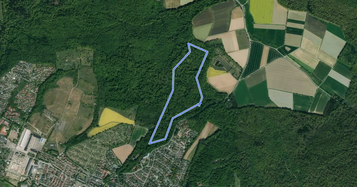 Маршрут HM5 Rundweg Deipensiek на спутниковом снимке