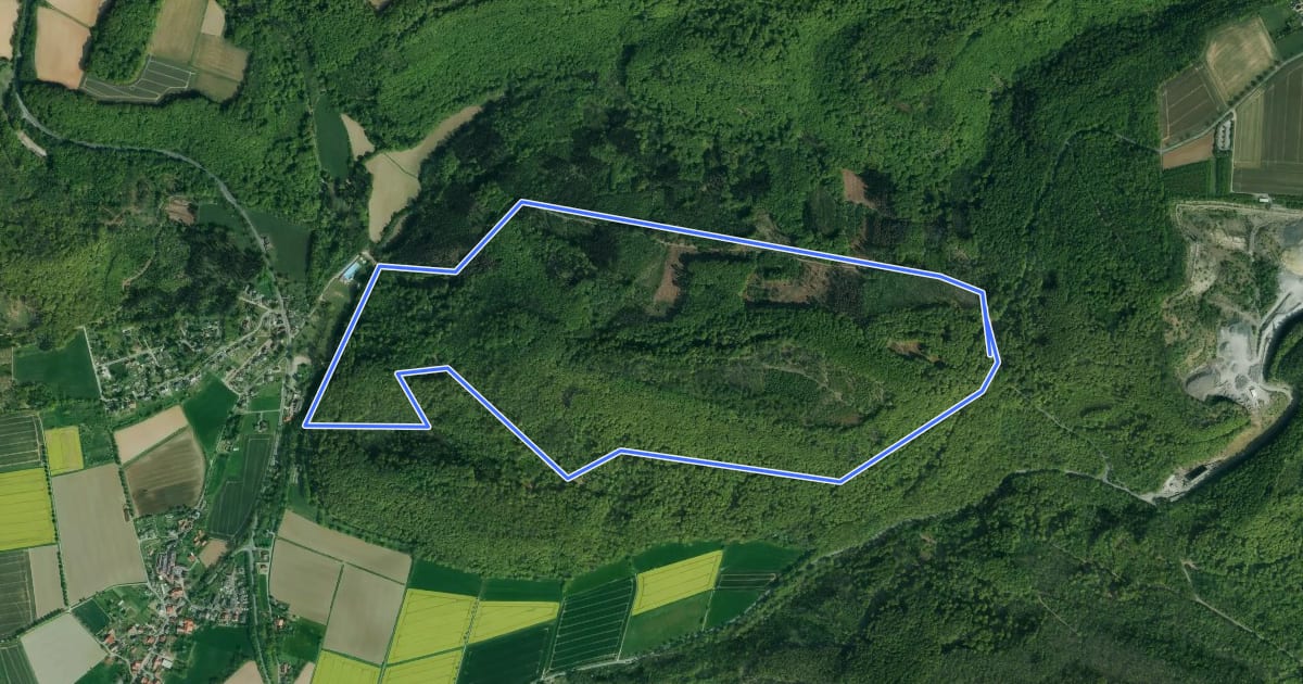 Маршрут HO1 - Amelungsberg-Route на спутниковом снимке