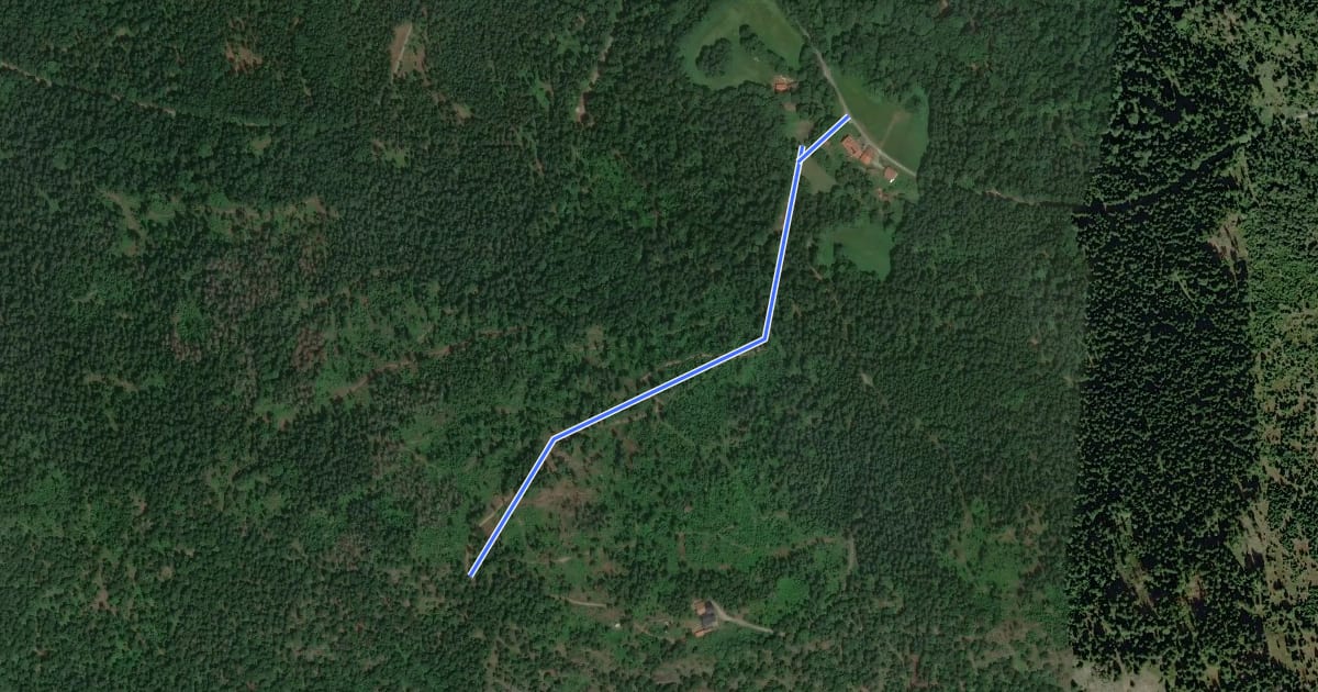 Маршрут Ho1 Hohenwarth - Kötztinger Hütte на спутниковом снимке