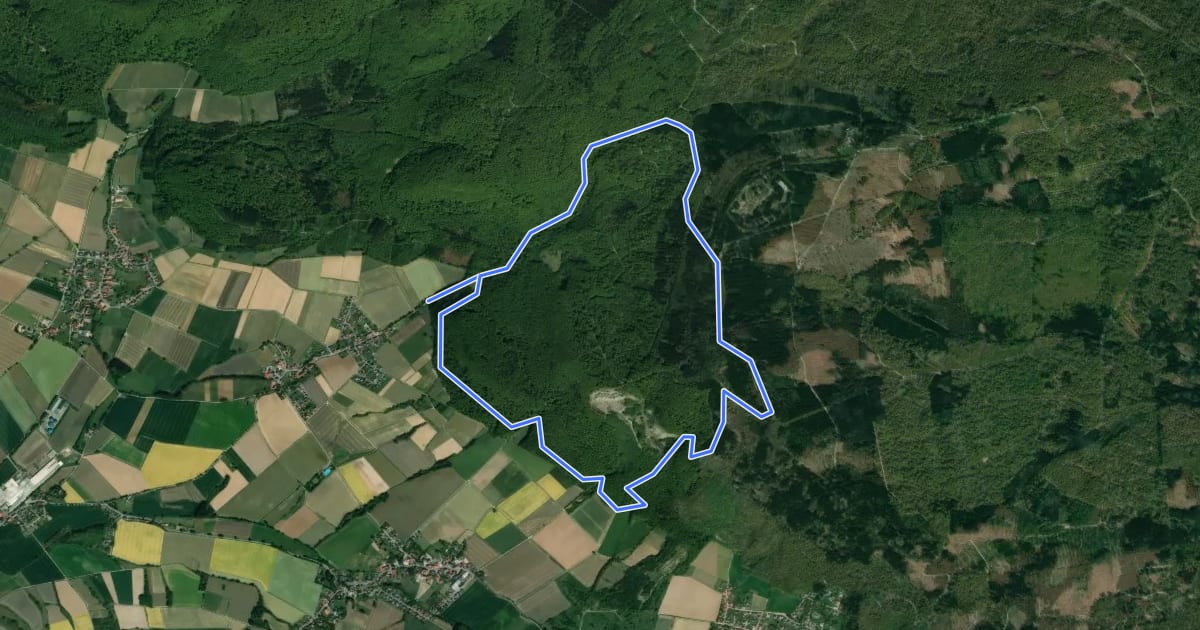 Маршрут HO12 - Süntelturm-Route на спутниковом снимке