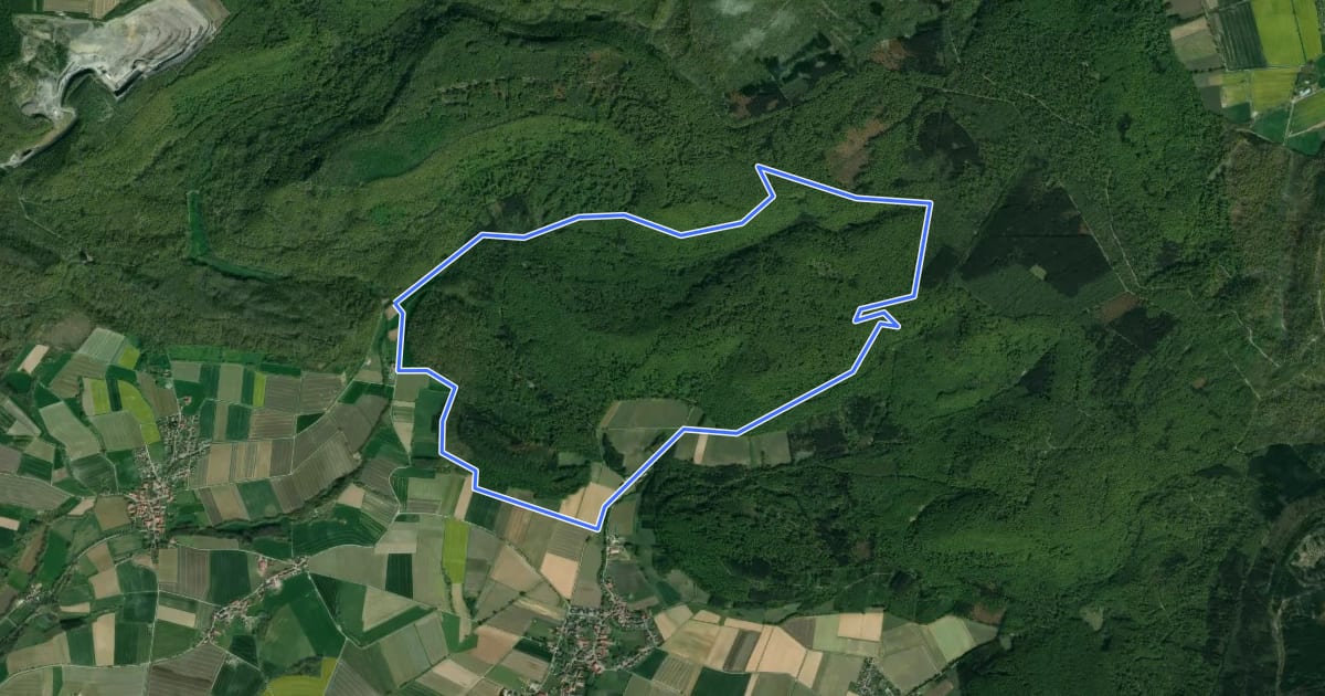 Маршрут HO9 - Roter-Stein-Route на спутниковом снимке