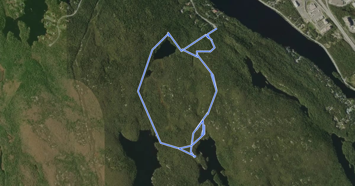 Маршрут Hobsons Lake Loop на спутниковом снимке