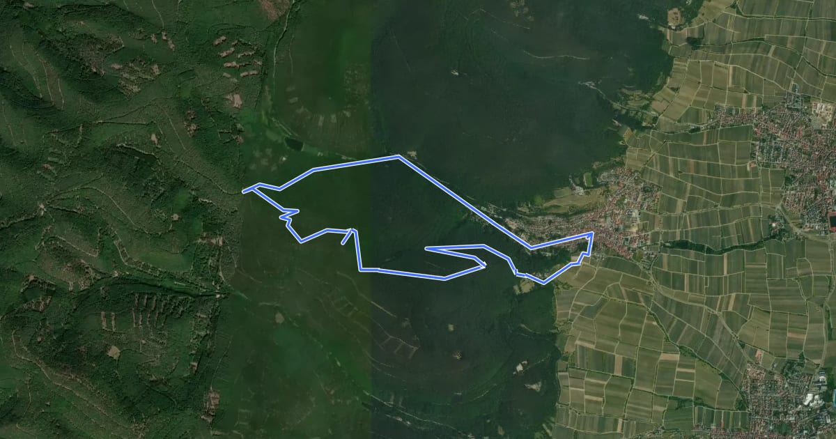 Маршрут Hochberg-Rundweg на спутниковом снимке