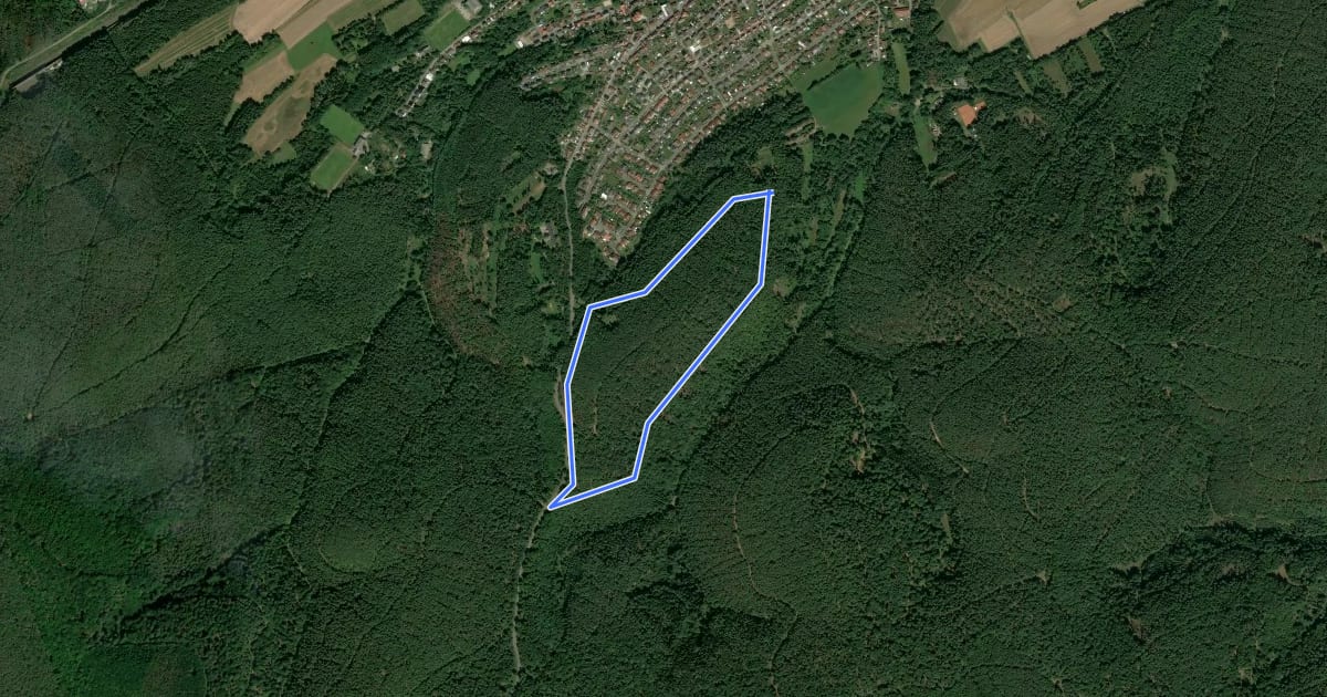 Маршрут Hochspeyer Wanderweg 1 Rundweg Sindelstal на спутниковом снимке