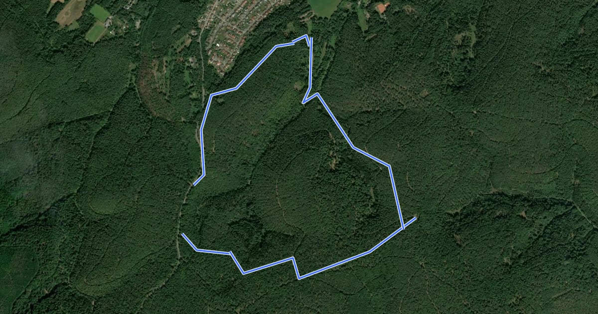 Маршрут Hochspeyer Wanderweg 2 на спутниковом снимке
