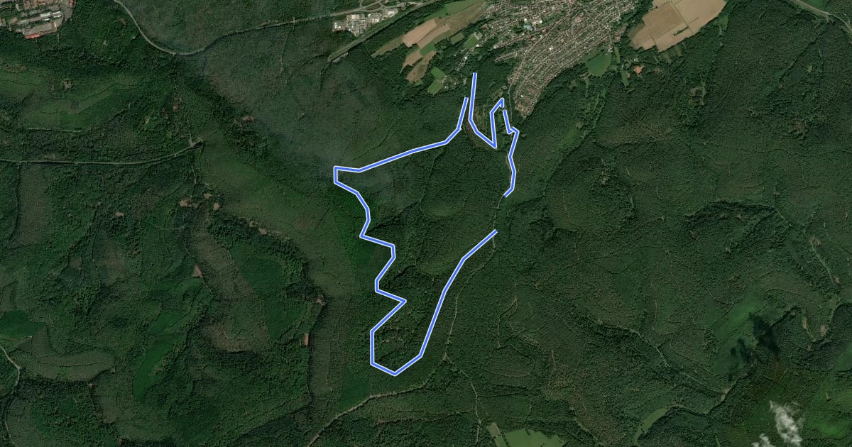 Маршрут Hochspeyer Wanderweg 3 на спутниковом снимке