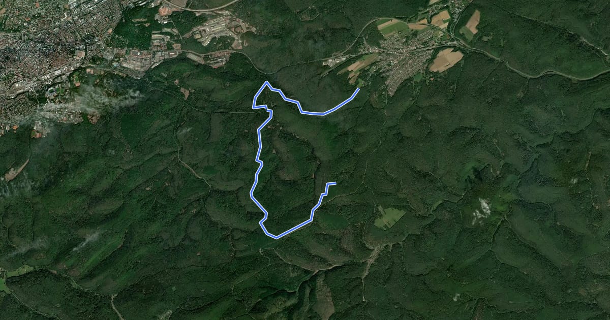 Маршрут Hochspeyer Wanderweg 4 на спутниковом снимке