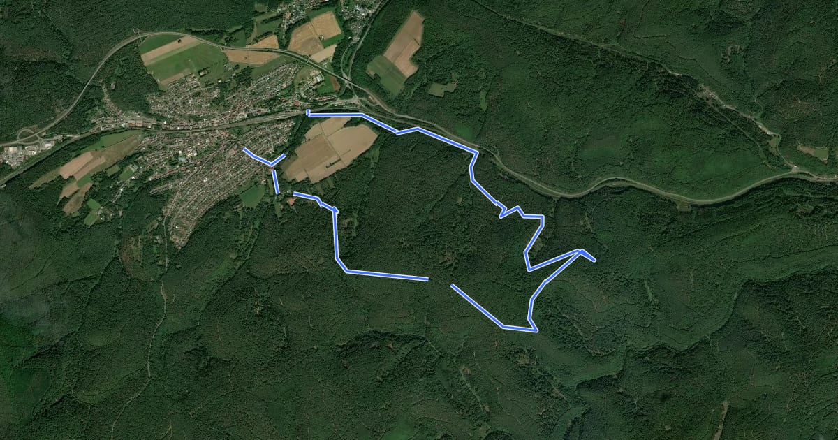 Маршрут Hochspeyer Wanderweg 5 на спутниковом снимке