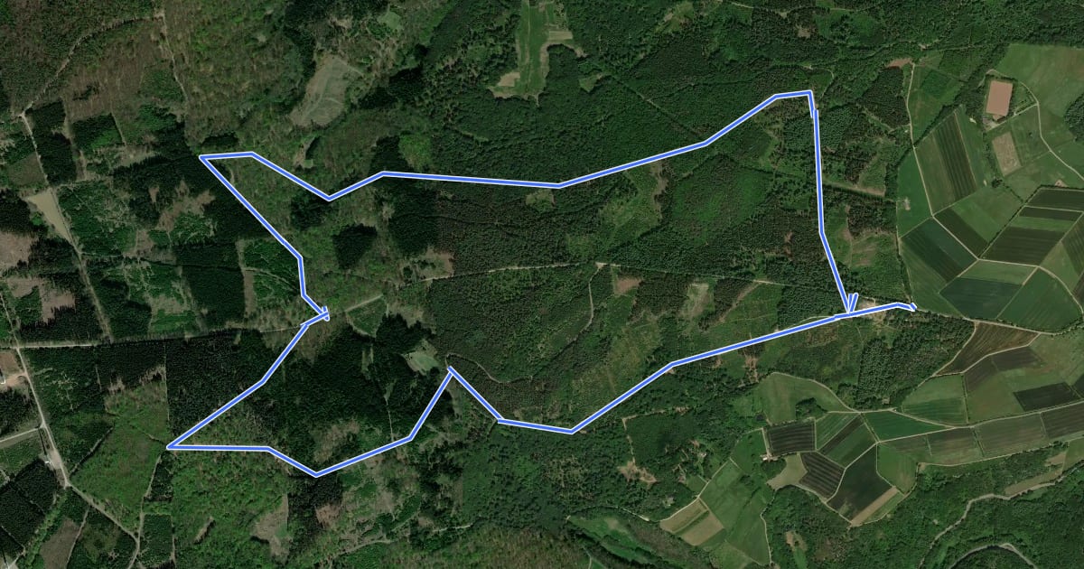 Маршрут Hochwaldwanderweg Damscheid на спутниковом снимке