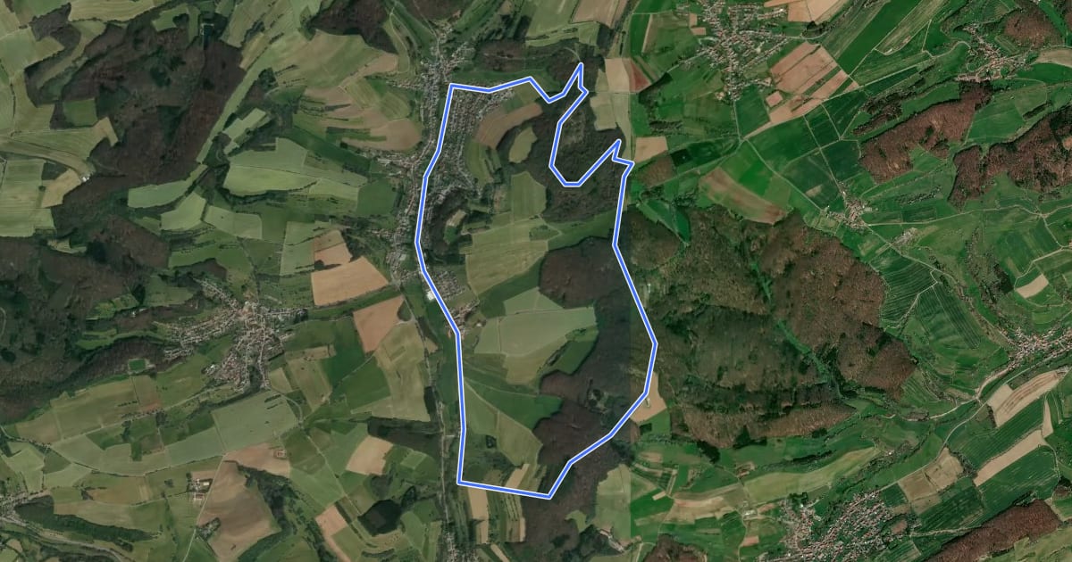 Маршрут Hochwaldweg на спутниковом снимке