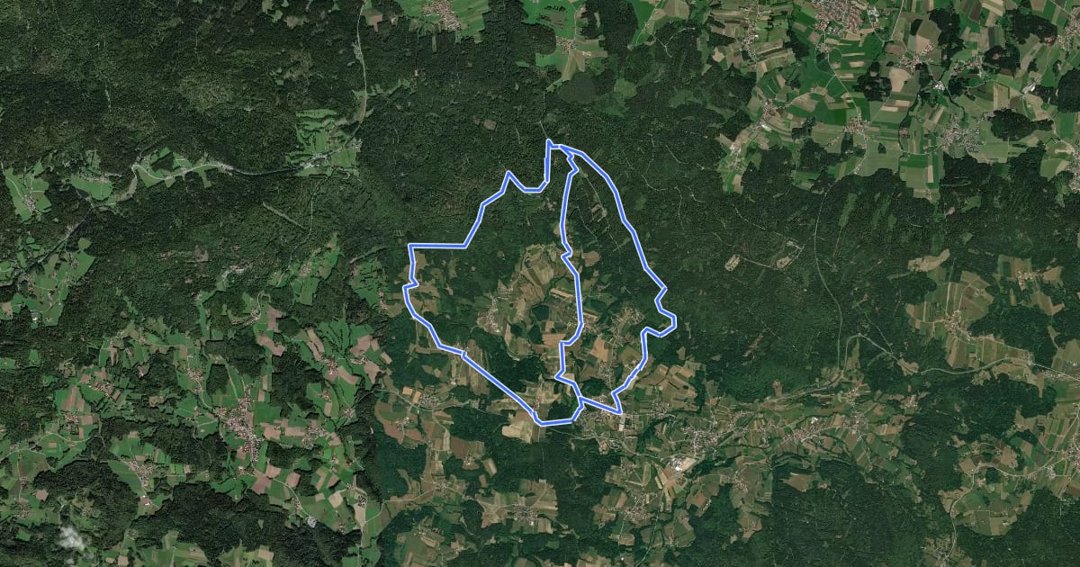 Маршрут Hochwaldweg на спутниковом снимке