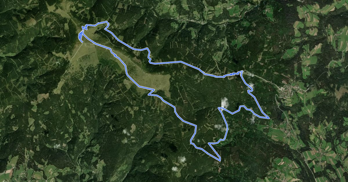 Маршрут Hochwechsel Trailrunde на спутниковом снимке