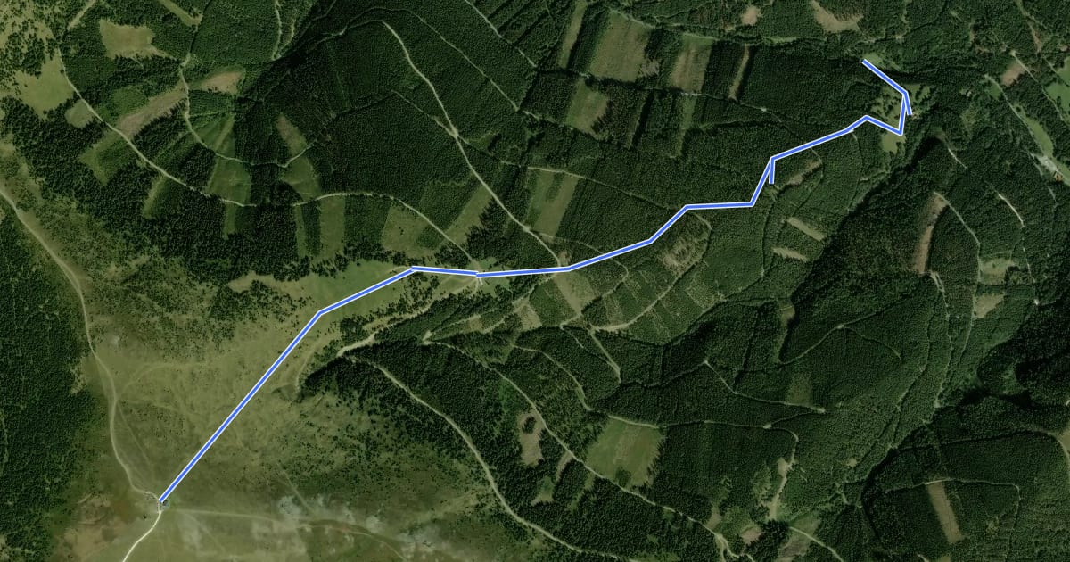 Маршрут Hochwechsel (Wetterkoglerhütte) Wanderweg 51 на спутниковом снимке