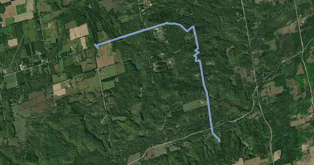 Маршрут Hockley Heights Side Trail на спутниковом снимке
