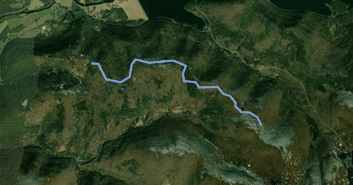 Маршрут Hog Hollow Trail на спутниковом снимке