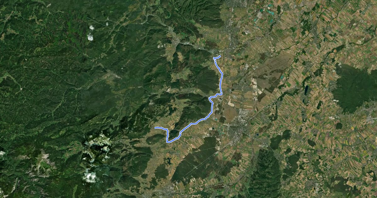 Маршрут Hohe Wand Radwanderweg на спутниковом снимке