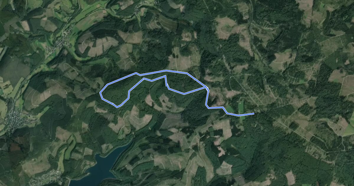 Маршрут Hohenroth Rundweg A1 - Um die Alte Burg на спутниковом снимке