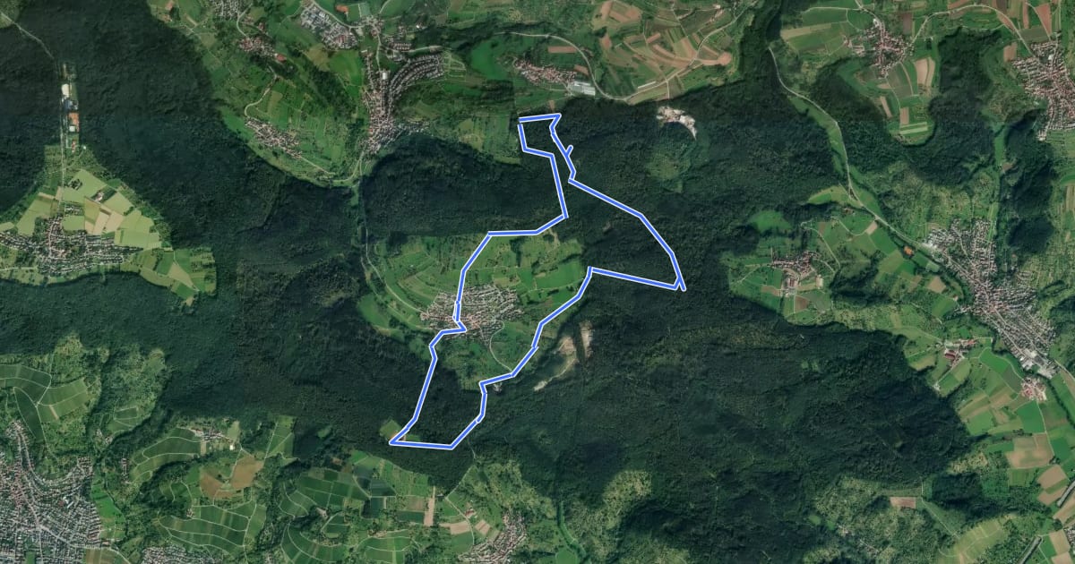 Маршрут Hohenstein-Rundweg на спутниковом снимке