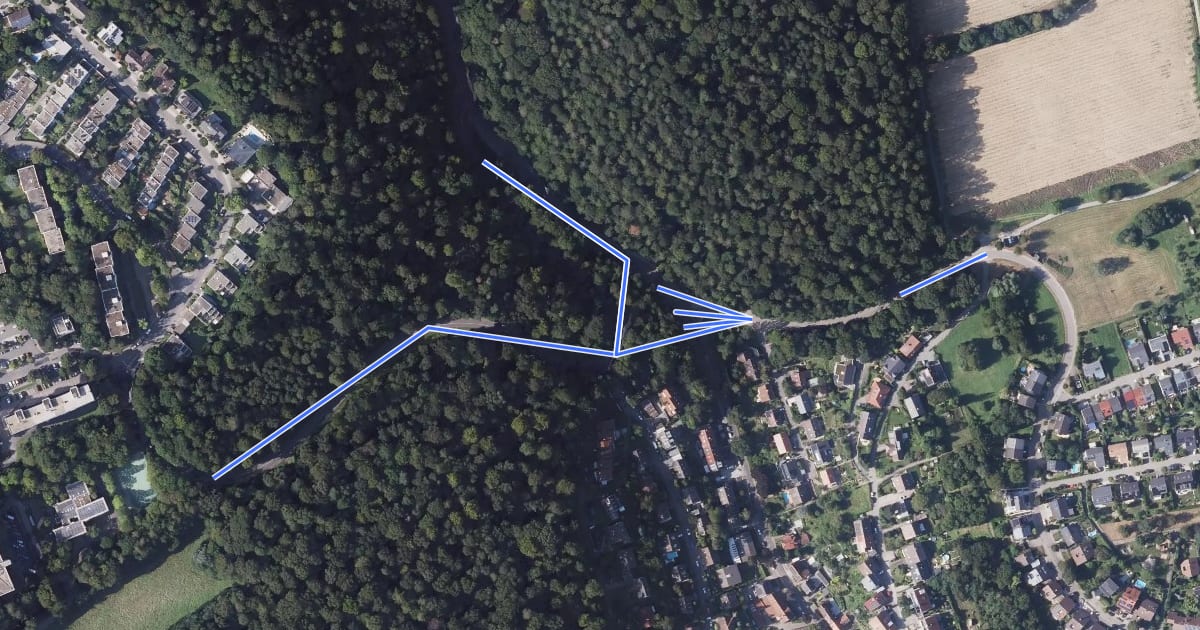 Маршрут Hohenwettersbach Scheffelstein - Bergwald на спутниковом снимке