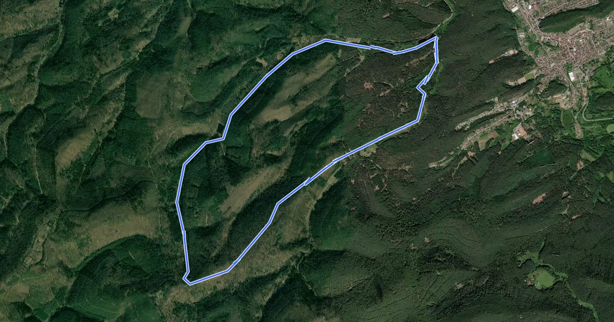 Маршрут Hohle Felsen-Tour на спутниковом снимке